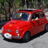 Burgio_2009 (389)
